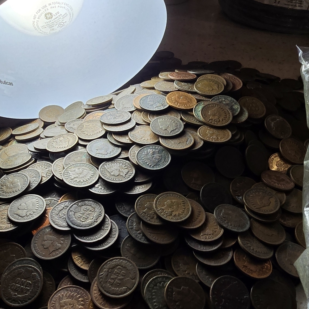 50 Random Indian Head Pennies - Dates & Conditions Vary